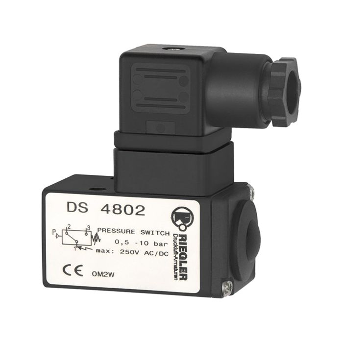 DS 4801